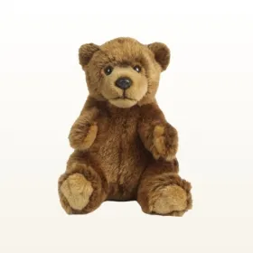 Brown Bear Teddy